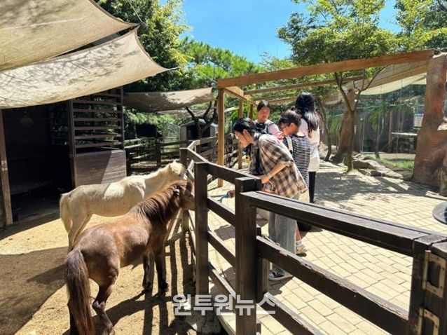 경산시 청소년을 위한 특별한 하루 '경산 MOVIE DAY!'운영