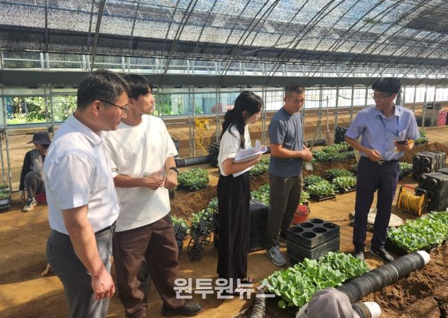 초화농가(과천) 병해충 예방 방제 방법 제시