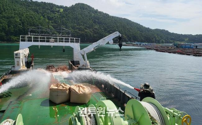 적조 피해 예방 사진