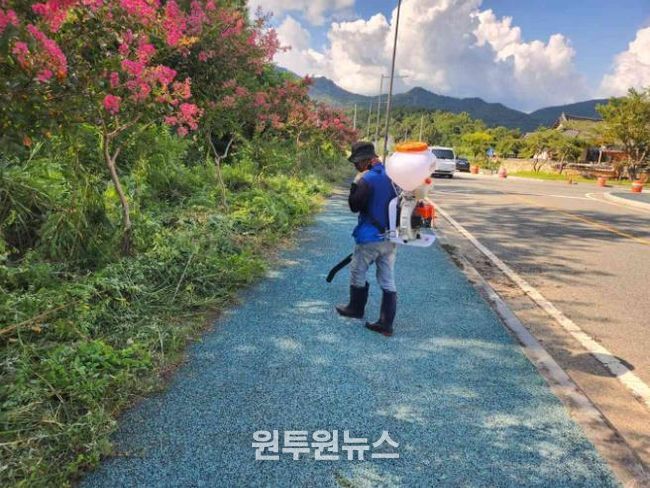 지난 8월 29일, 강진읍 주요도로의 제초 작업중인 모습
