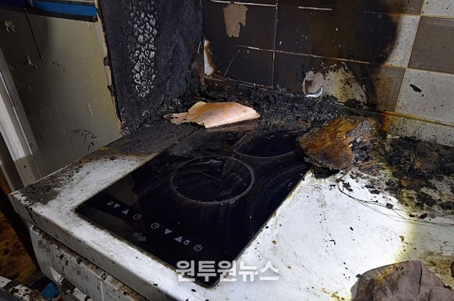 대전소방, 반려동물 화재예방 당부