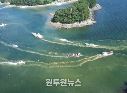 적조 일제 방제의 날