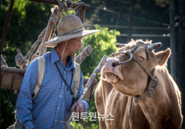 사진 분야 대상(농식품부장관상) 신운섭 作 (작품명 : 농삿일의 동반자)