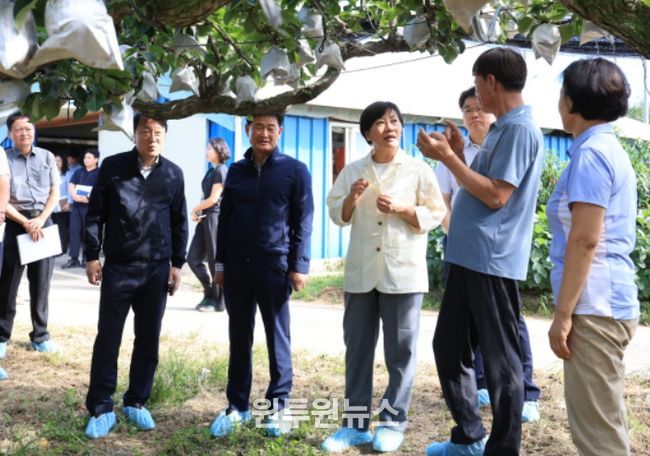 송미령 농식품부 장관 과일 성수품 수급 현장 점검