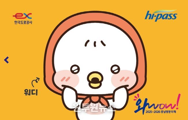 하이패스 카드_대지