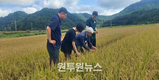 박형대 의원(진보당ㆍ장흥1)이 15일 장흥읍 연산리 벼 재배 현장을 찾아 깨씨무늬병 피해 상황을 점검하고 있다.