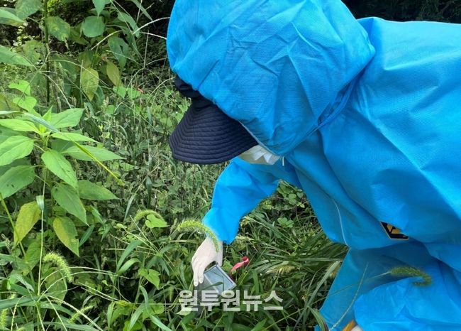 진드기감염병 주의