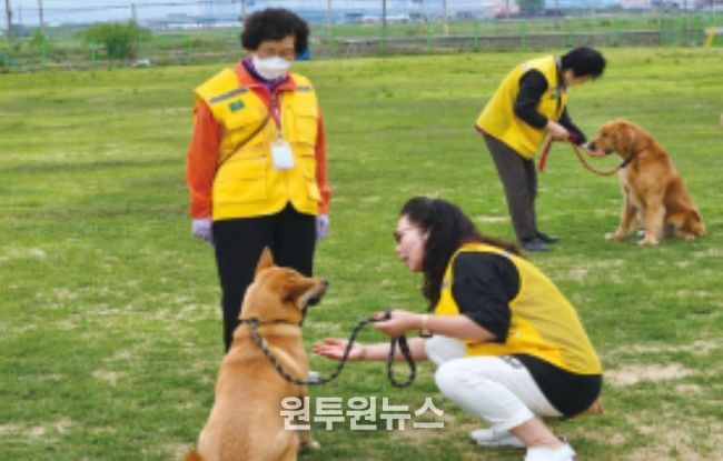 활동적 은퇴자 대상 교감치유 프로그램