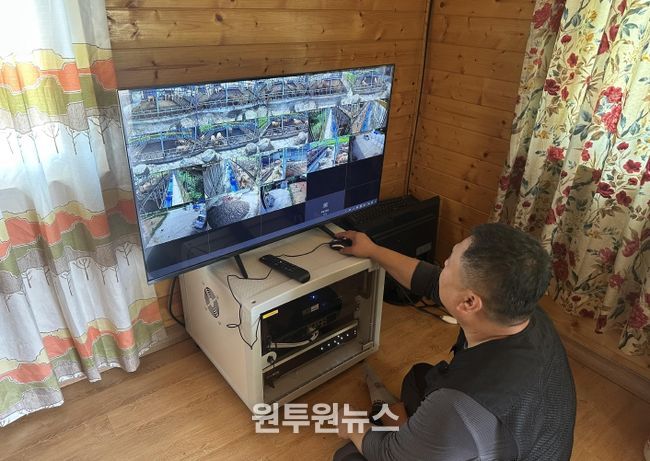 완도군, 스마트 축산 기술 보급 시범 사업 추진(한우 스마트팜 번식 관리 시스템)