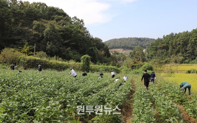 농촌일손돕기 실시