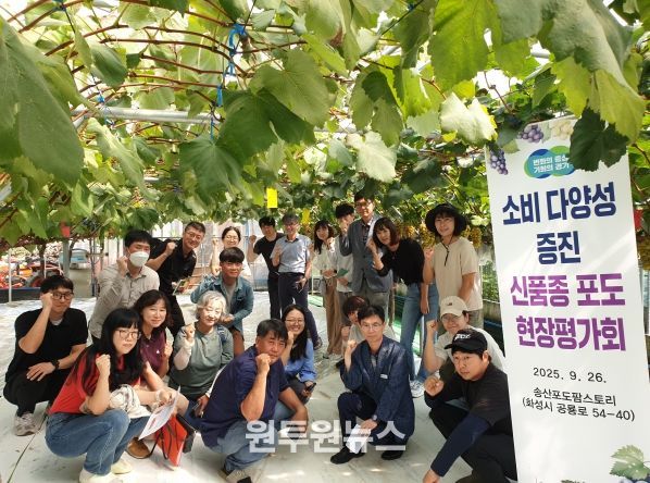 포도 신품종 현장평가회