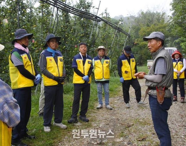 과수원 사장에게 농작업 설명을 듣고 있는 직원 모습