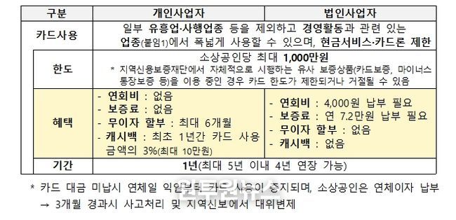 소상공인 비즈플러스카드 사업