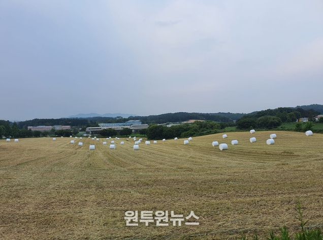 충북도, ‘2026년 조사료 전문단지·가공시설’ 공모 선정