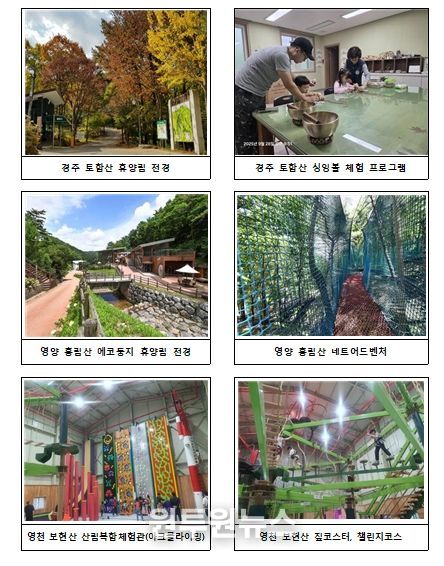 자연휴양림 체험⋅프로그램