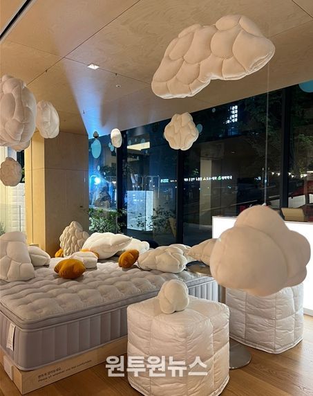 구름 쿠션 사진 1식