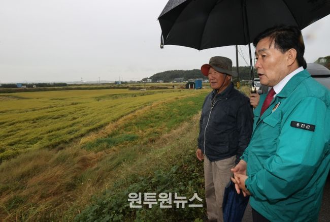 벼 도복 피해 현장 방문, 피해 최소화에 총력