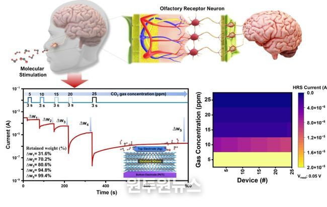 연구 결과의 개념도 및 분자 농도에 따른 전도도 제어 결과