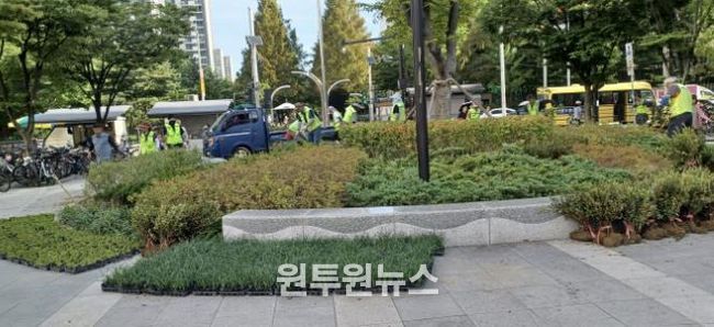 고양시 일산서구, 주엽역광장 야생화 식재⋯도심 경관 개선