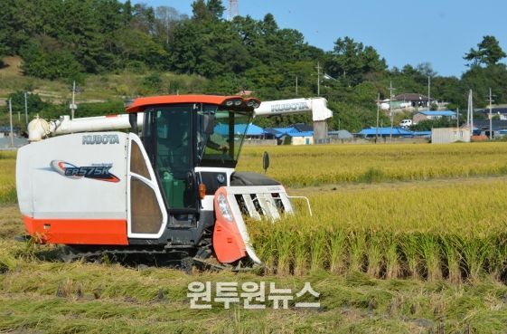 신안군, 벼 깨씨무늬병 확산 방지를 위한 적기수확 지도 강화!..