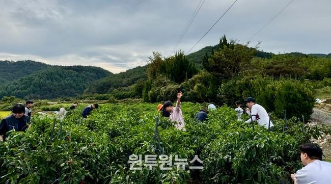 사천시, ‘가을철 농촌일손돕기’ 팔 걷었다-고추수확