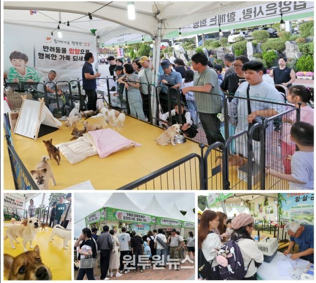 임실N치즈축제 반려 산업 홍보관, 유기견 사랑의 입양 큰 성과