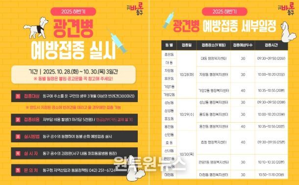 대전 동구, 2025년 하반기 ‘광견병 예방접종’ 실시