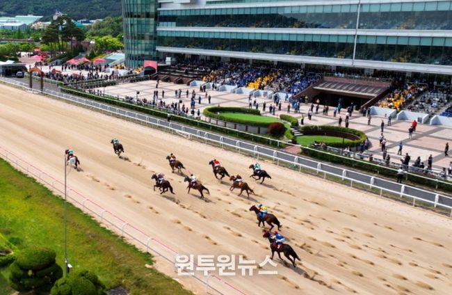 제18회 경상남도지사배 대상경주