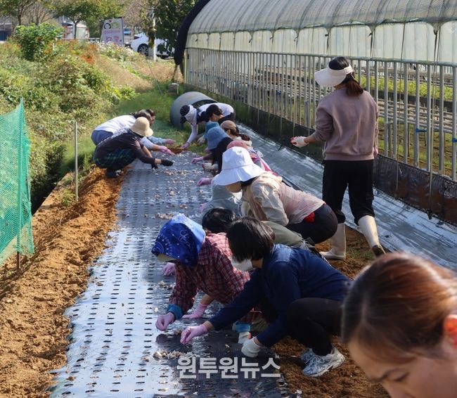 도농교류 활성화 및 ESG 경영 실천 위해 농촌일손돕기