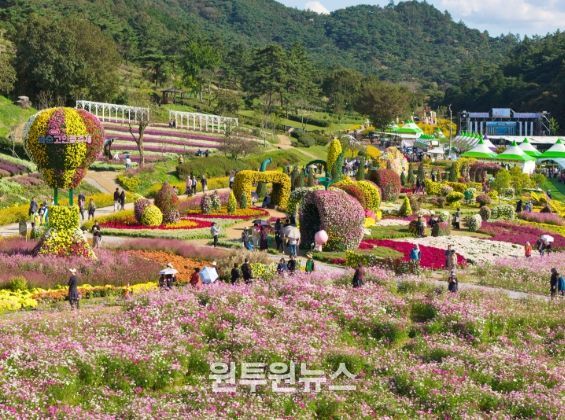 '2025 화순 고인돌 가을꽃 축제(도곡 축제장 전경)