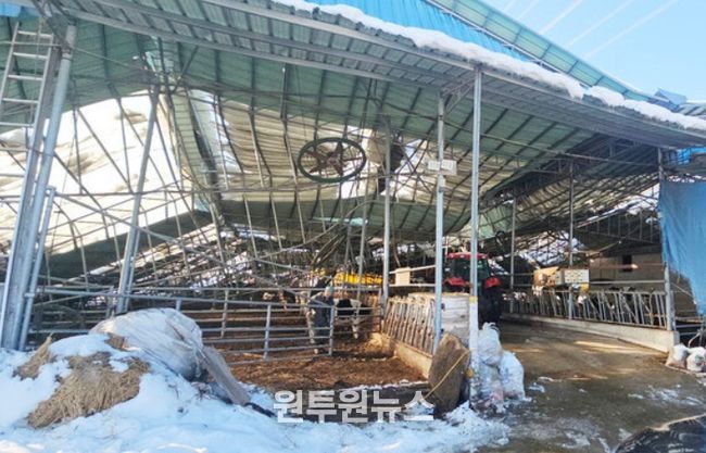 겨울철 재해 대비 농·축산시설 점검