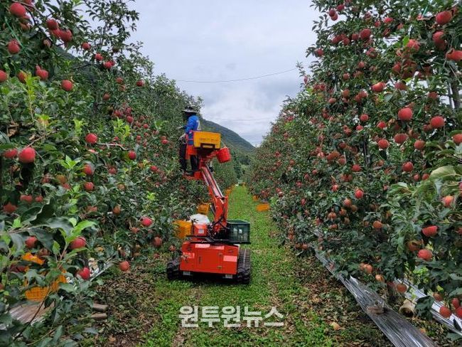 포천시, ‘2025년 포천사과 품평회 및 판매행사’ 개최