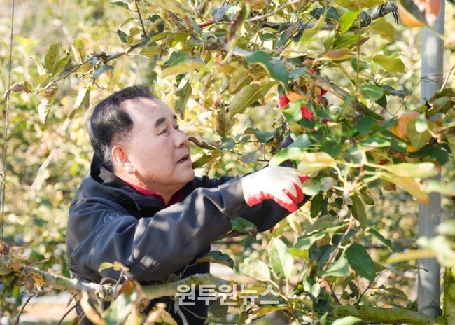 충남교육청 직원들, 예산 농가에 ‘가을의 손길’ 전하다