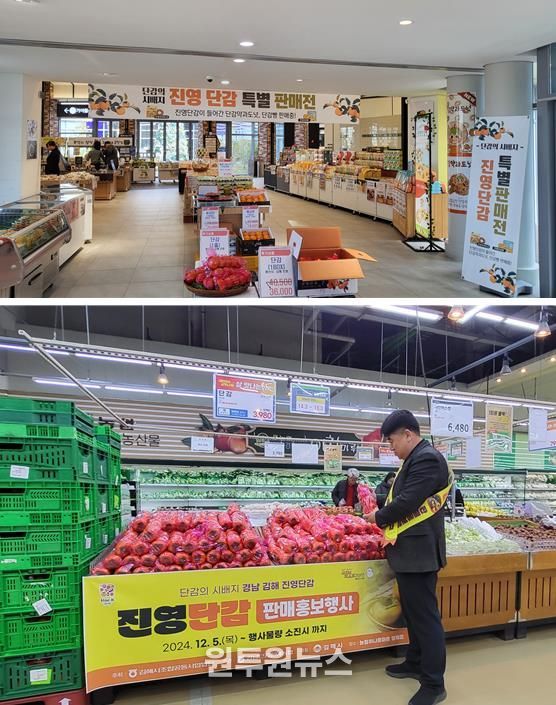 김해시, 진영단감 온·오프라인 판촉행사 개최