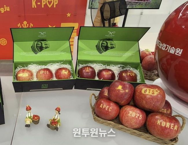 문경 감홍 사과, APEC 정상회의서 빛나