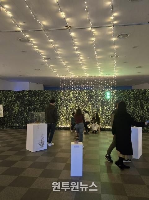 2025 대한민국 국향대전, 함평 군립미술관 내 사군자테마관에서 관람객이 작품을 감상하는 모습