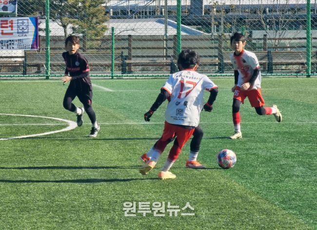 동계 전지훈련팀 유치 총력