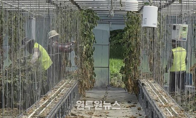 보은군, 라오스 계절근로자 파견 종료… 1582농가에 ‘든든한 힘’