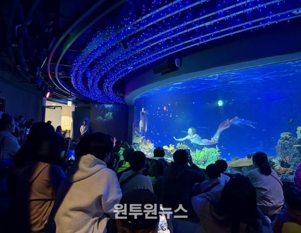 수원특례시 드림스타트 아동·가족이 아쿠아플라넷 관람을 하고 있다.