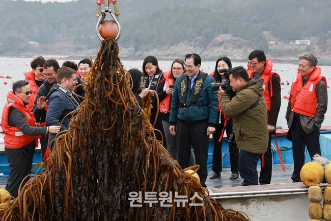 사진은 미 에너지부 산하기관 에너지 고등 계획원(ARPA-E) 관계자 완도군 해조류(미역) 양식장을 방문한 모습