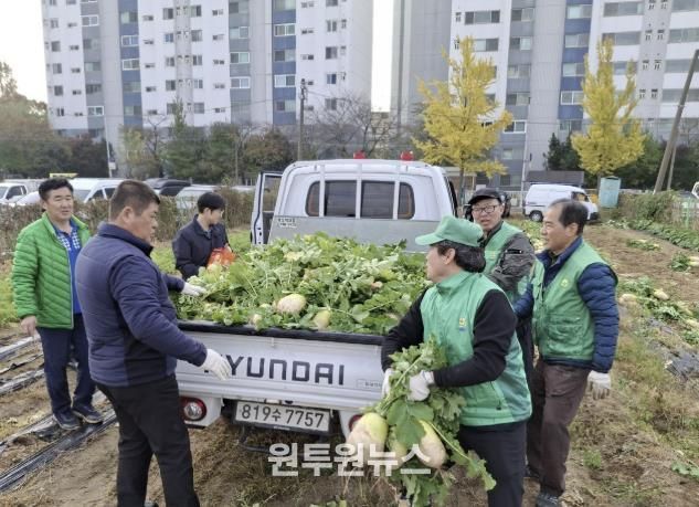 수원시 권선구 새마을지도자협의회, ‘사랑의 무’수확