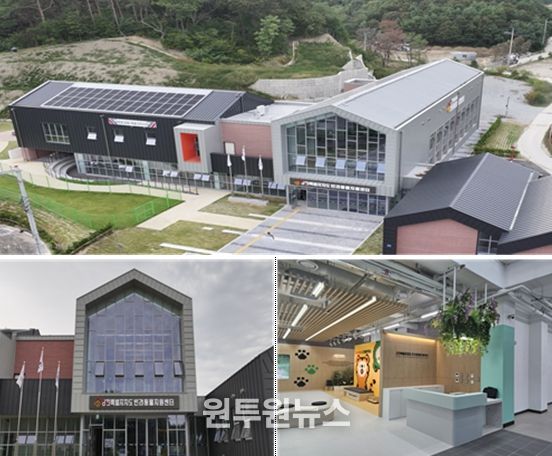 강원특별자치도 반려동물지원센터 현장사진