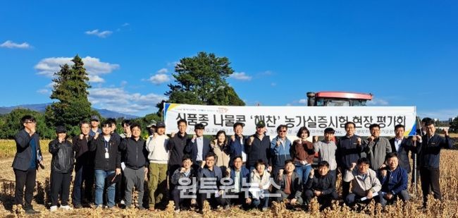 나물콩'해찬' 현장평가회