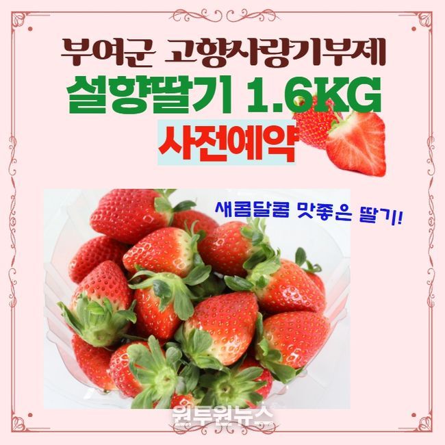 고향사랑기부제 답례품