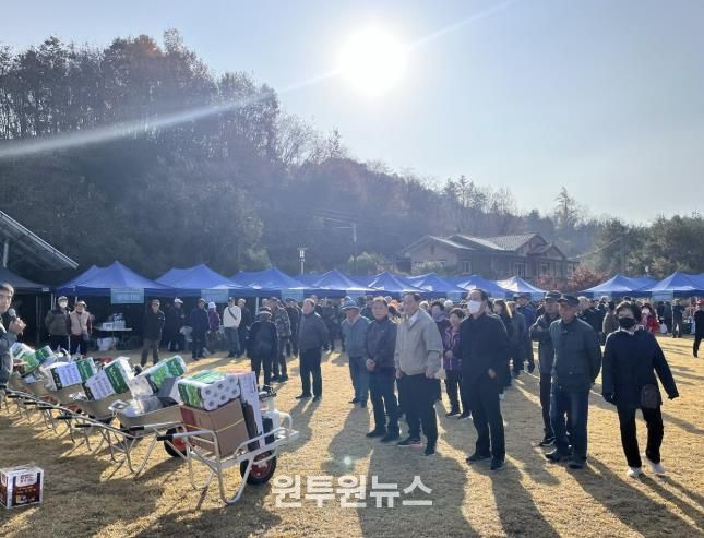 2025 봉화군 봉성면민 한마음 걷기대회, 화합의 발걸음으로 하나 되다