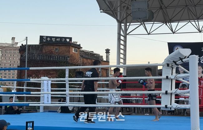창원특례시, 제184회 전국아마추어 킥복싱 무에타이 대회 개최