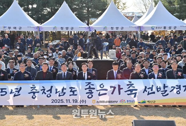 충남 대표 한우·젖소 선발