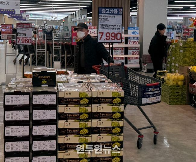 영동 메이빌 샤인머스캣, 롯데마트 전 지점에서 진행