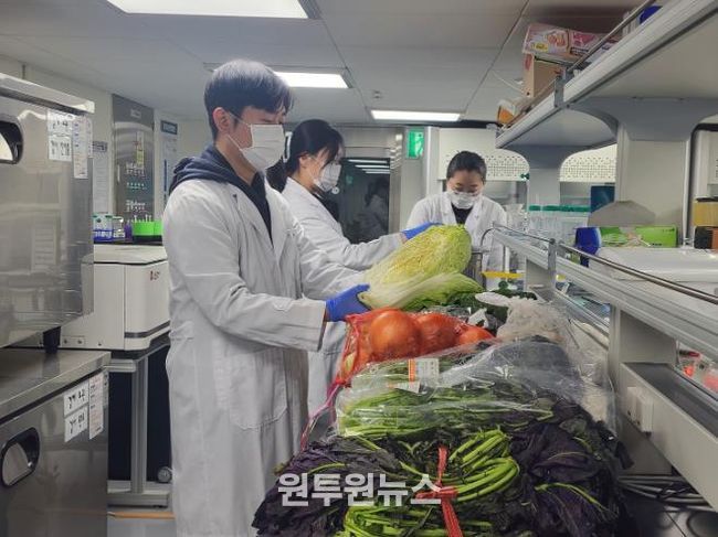 광주광역시, 김장철 농산물 잔류농약검사 강화