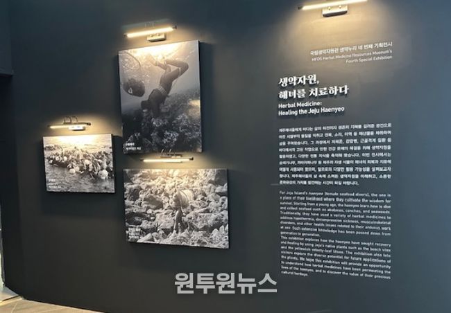 ‘생약자원, 해녀를 치료하다’ 기획전시